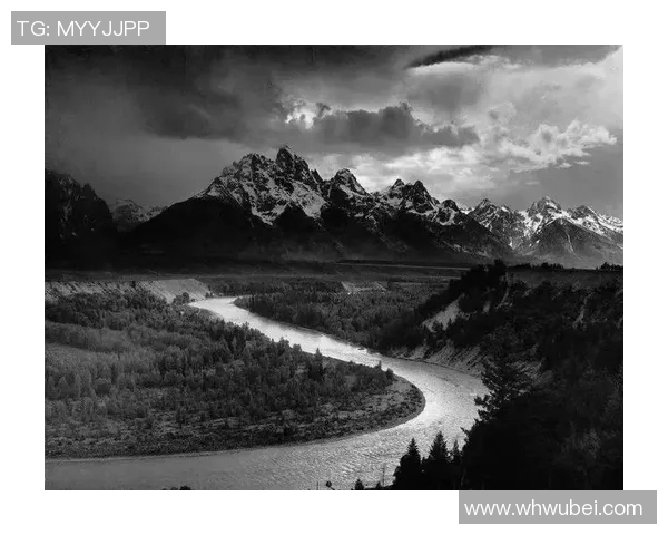 亚当斯的传奇人生与影响力探秘：从个人成就到全球视野的深度分析