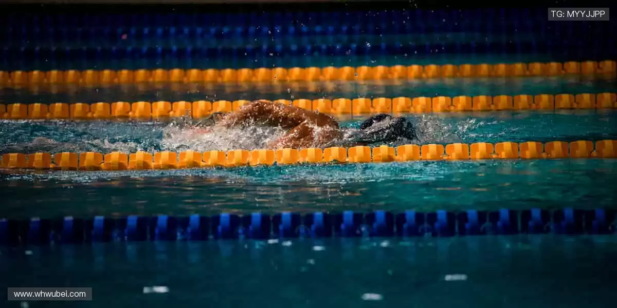 🌟 赛事策划,专业打造专属体育盛宴!